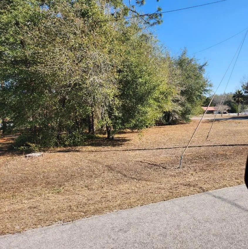SE 97TH TER Summerfield, FL 34491