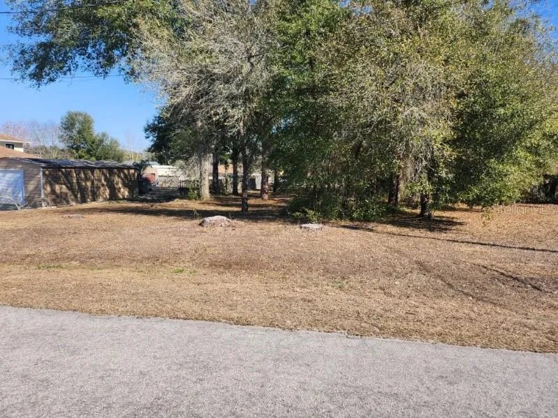 SE 97TH TER Summerfield, FL 34491