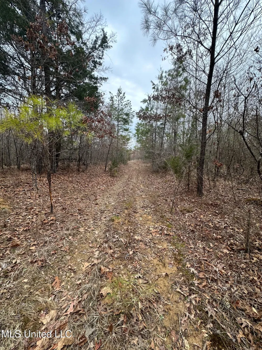 Gordon Road Duck Hill, MS 38925