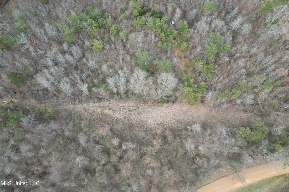 Gordon Road Duck Hill, MS 38925