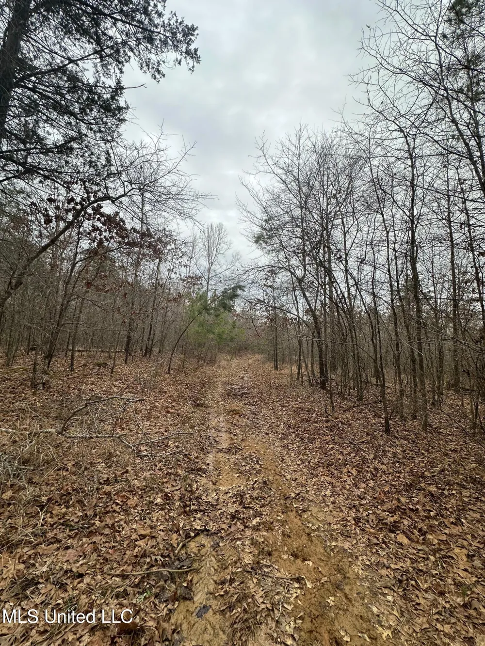 Gordon Road Duck Hill, MS 38925
