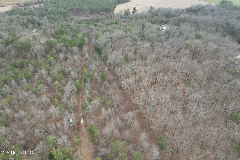 Gordon Road Duck Hill, MS 38925