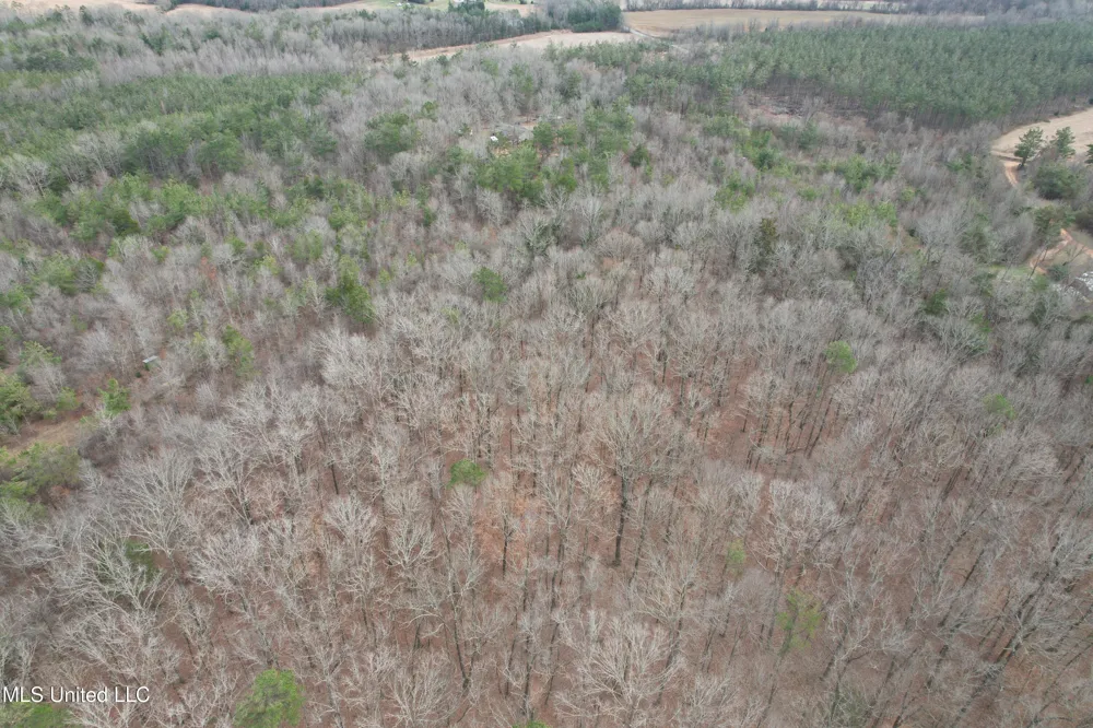 Gordon Road Duck Hill, MS 38925