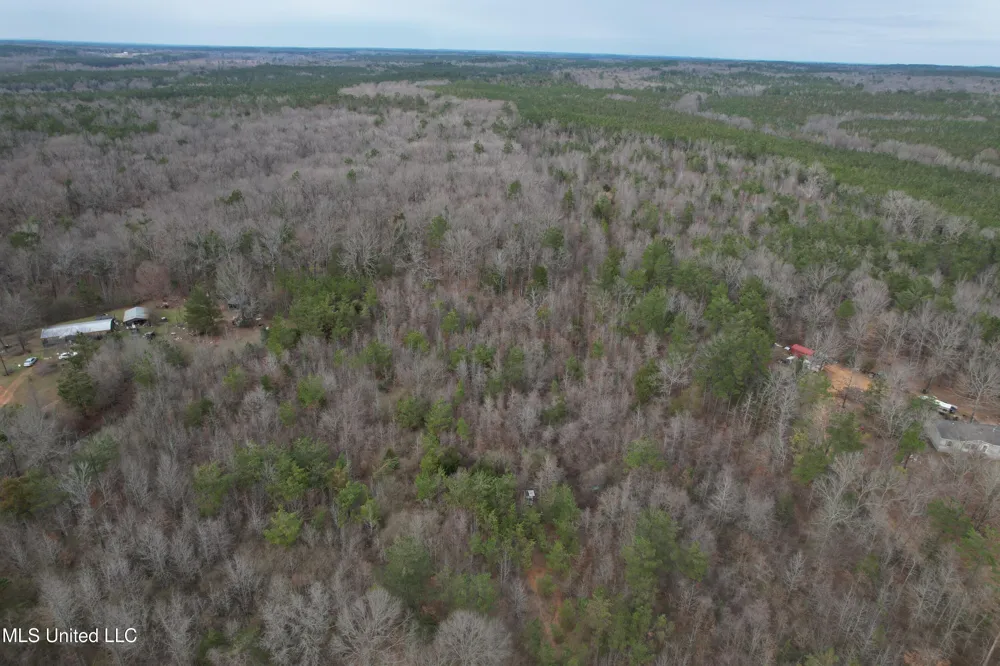 Gordon Road Duck Hill, MS 38925