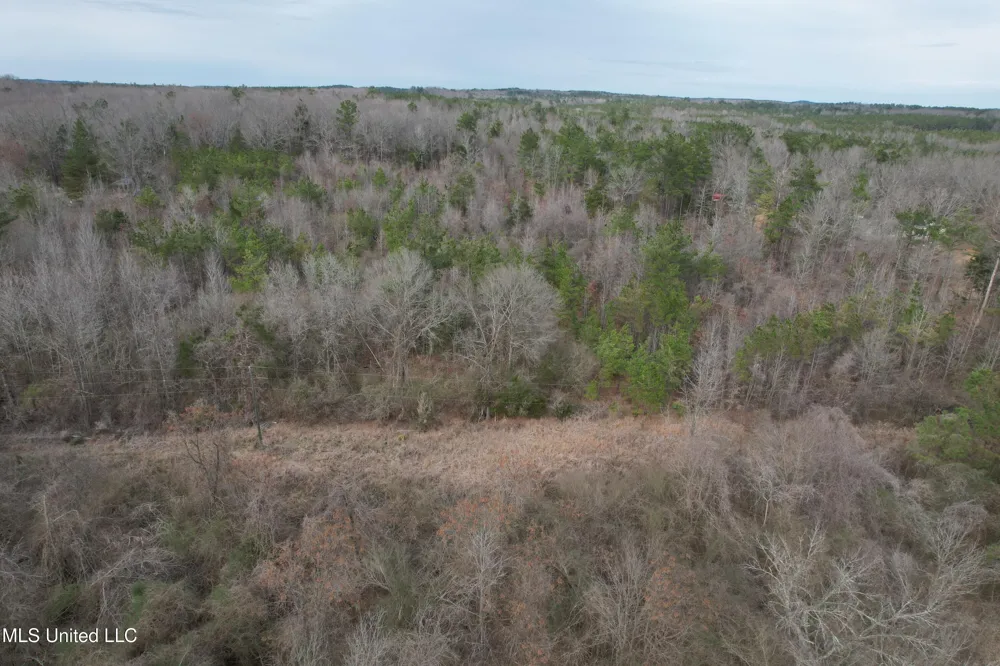 Gordon Road Duck Hill, MS 38925