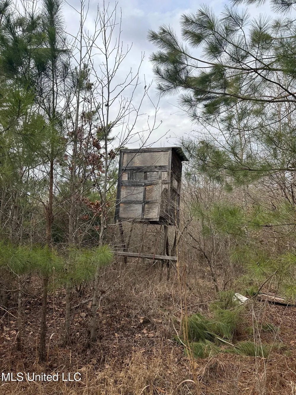 Gordon Road Duck Hill, MS 38925
