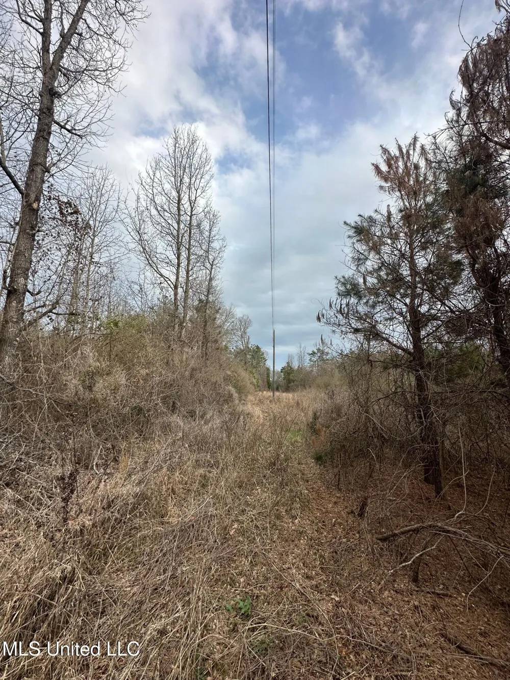 Gordon Road Duck Hill, MS 38925