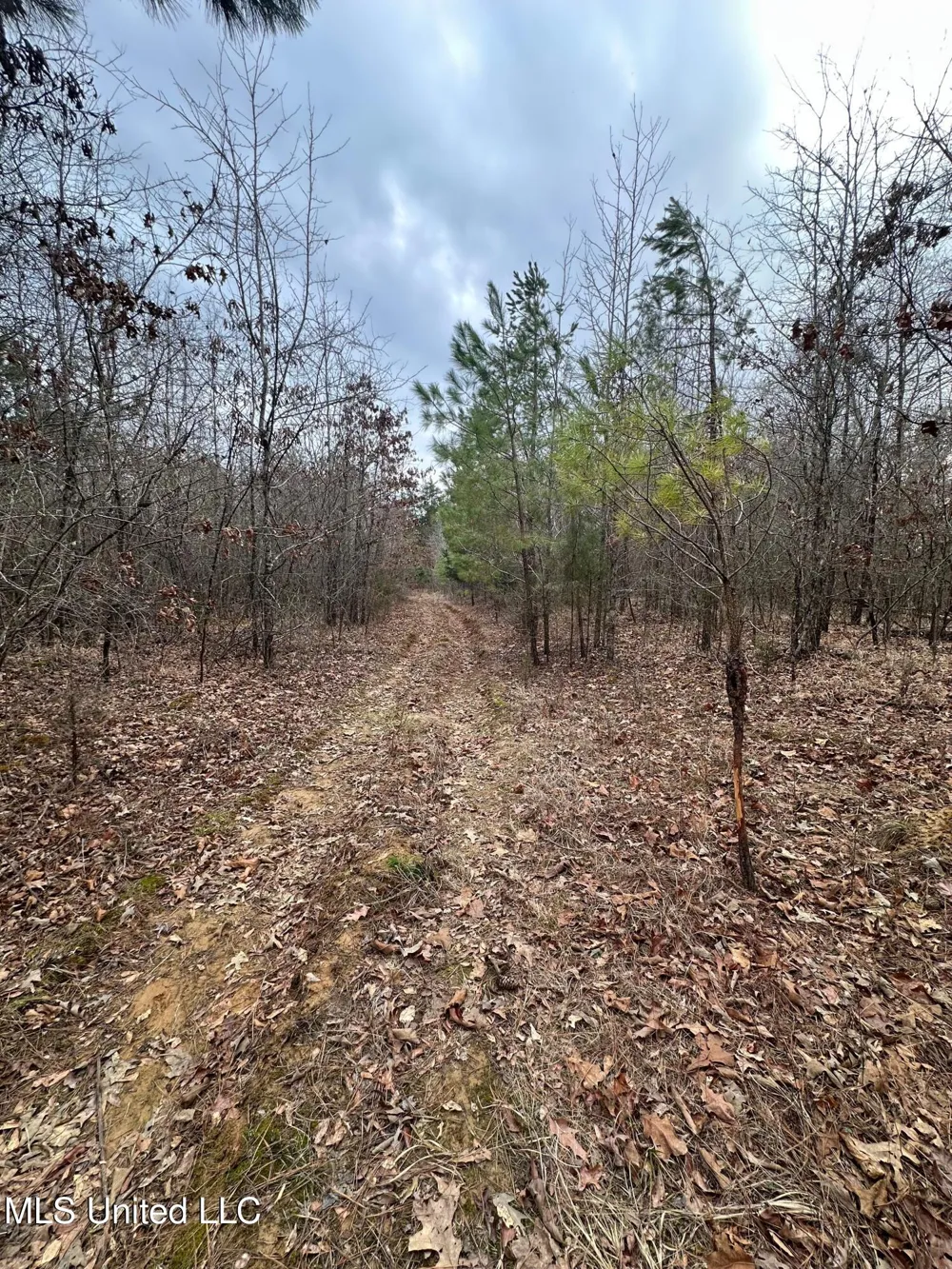 Gordon Road Duck Hill, MS 38925