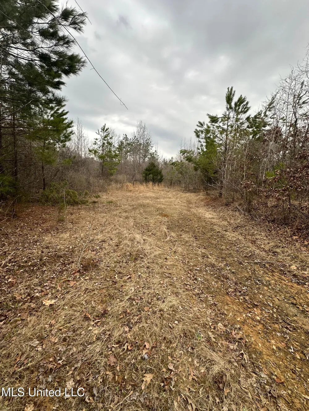 Gordon Road Duck Hill, MS 38925