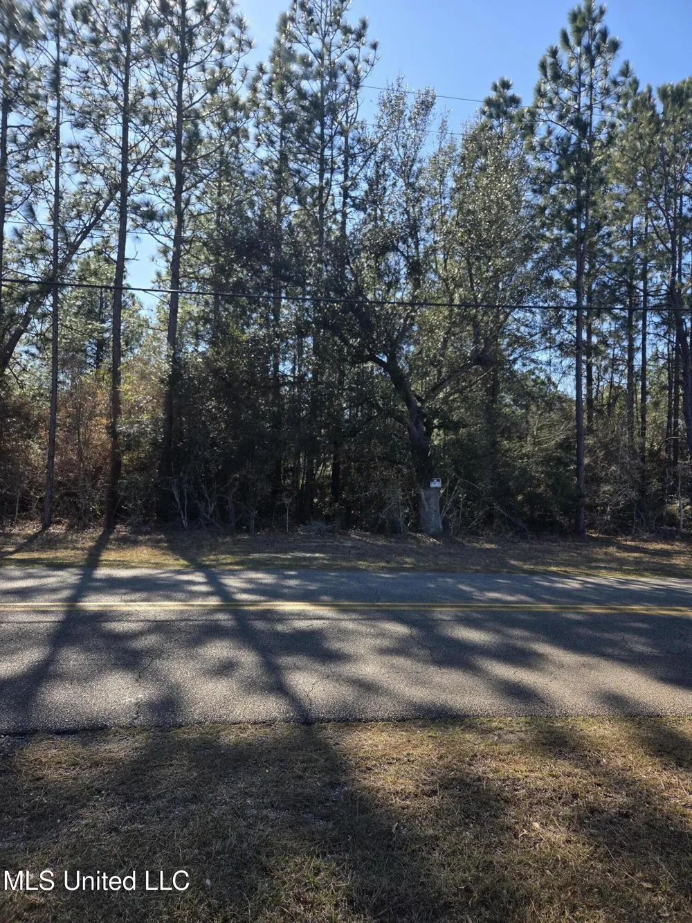 E Lake Cypress Drive Perkinston, MS 39573