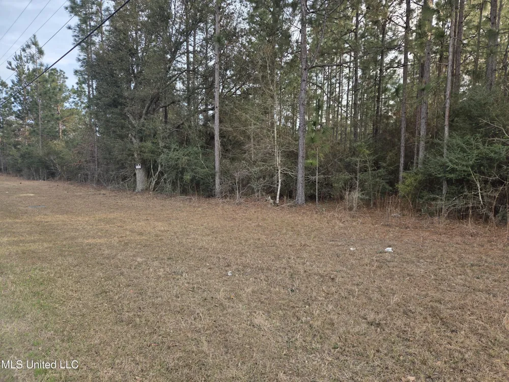 E Lake Cypress Drive Perkinston, MS 39573