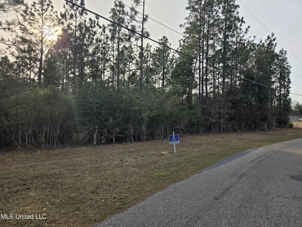 E Lake Cypress Drive Perkinston, MS 39573