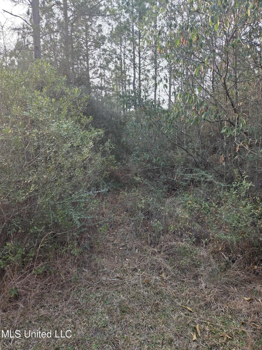 E Lake Cypress Drive Perkinston, MS 39573