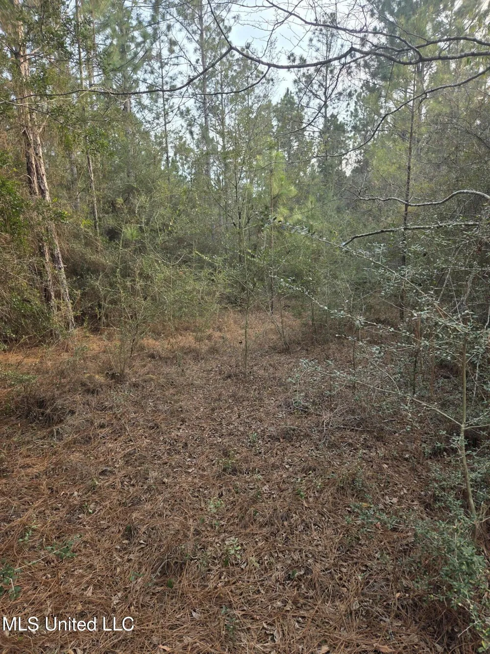 E Lake Cypress Drive Perkinston, MS 39573