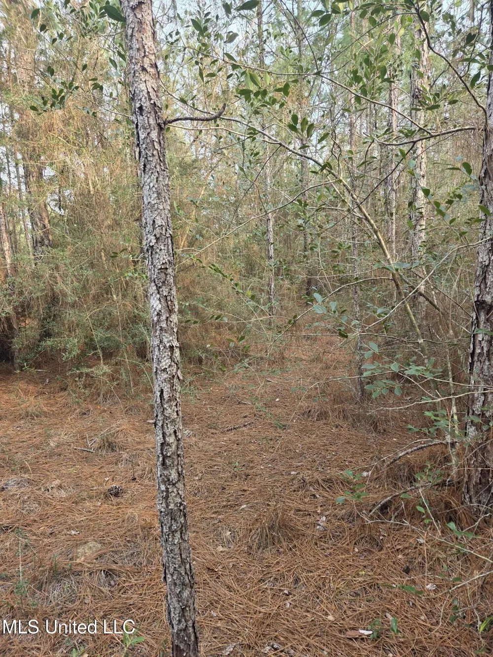 E Lake Cypress Drive Perkinston, MS 39573