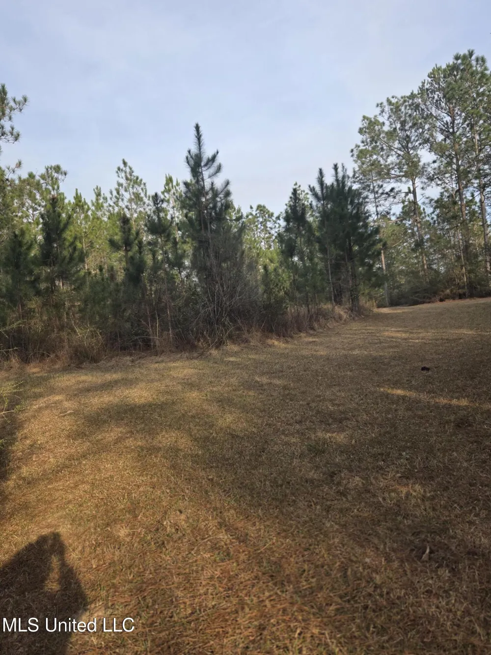 E Lake Cypress Drive Perkinston, MS 39573