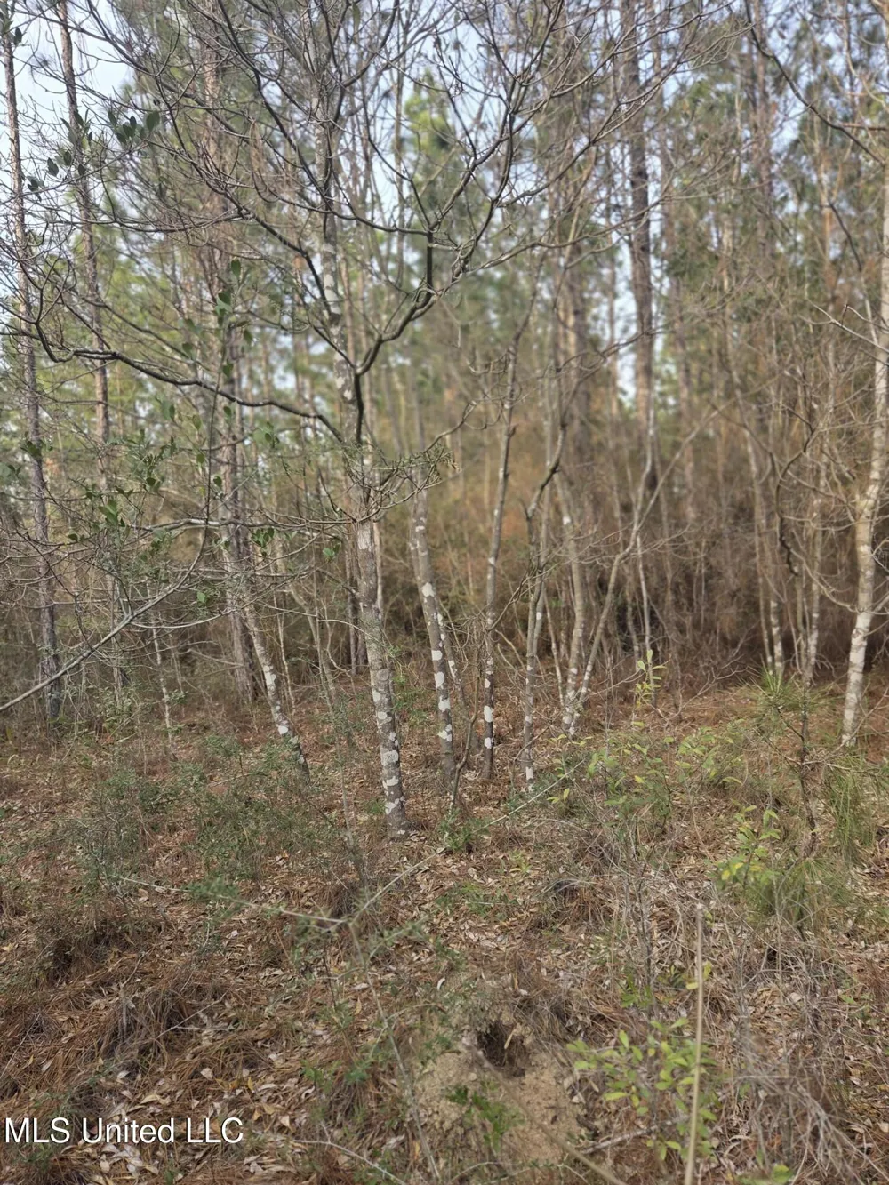 E Lake Cypress Drive Perkinston, MS 39573