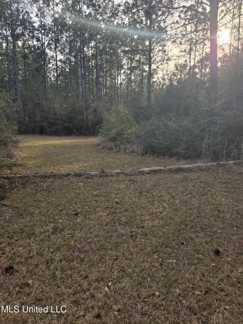 E Lake Cypress Drive Perkinston, MS 39573