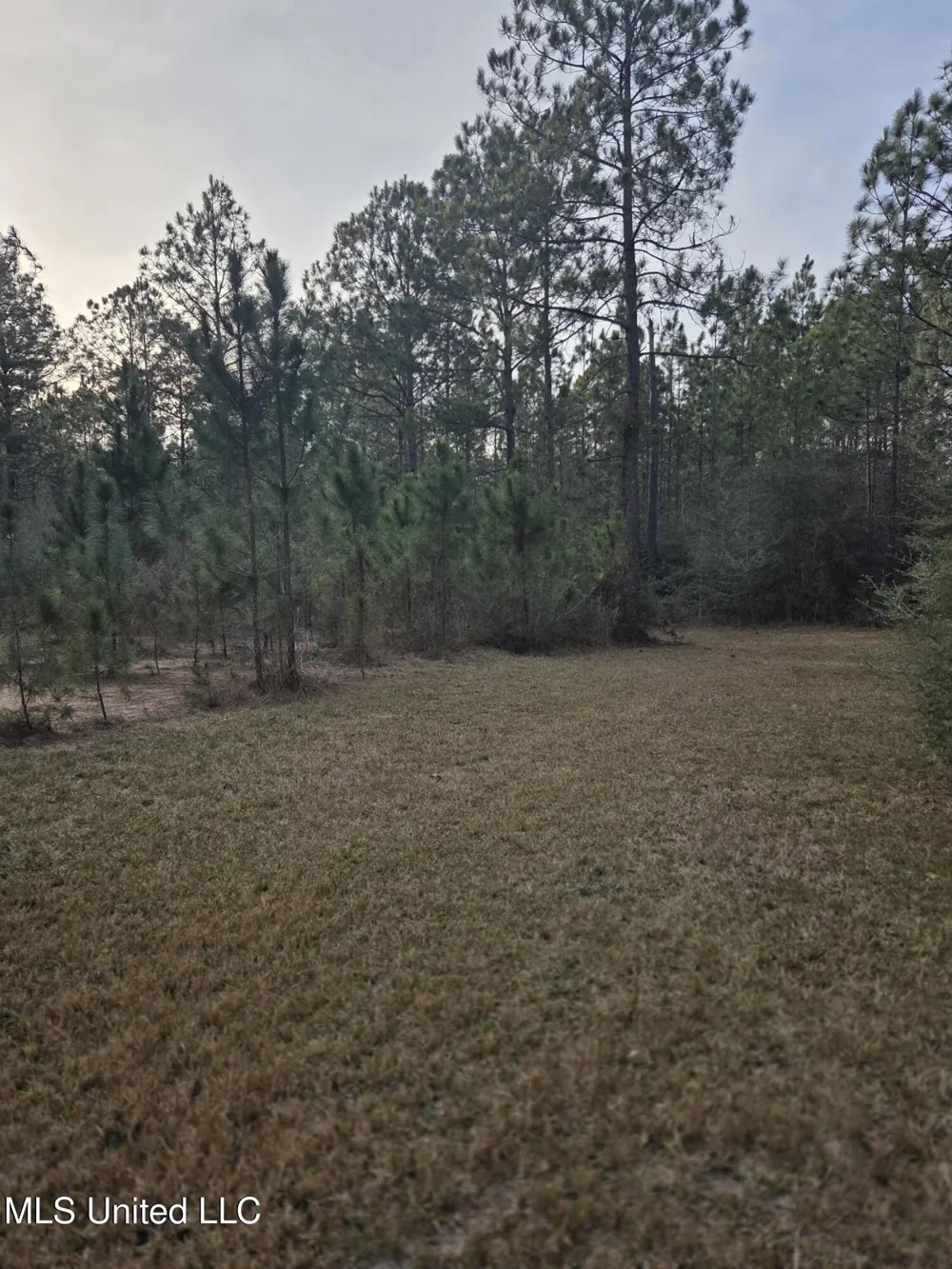 E Lake Cypress Drive Perkinston, MS 39573