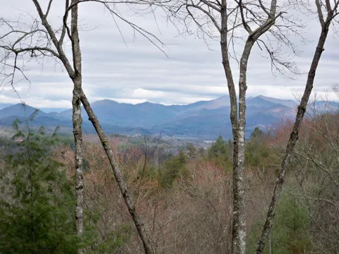 The Overlook at Brasstown