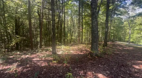 1.81 AC Nature Valley Trail