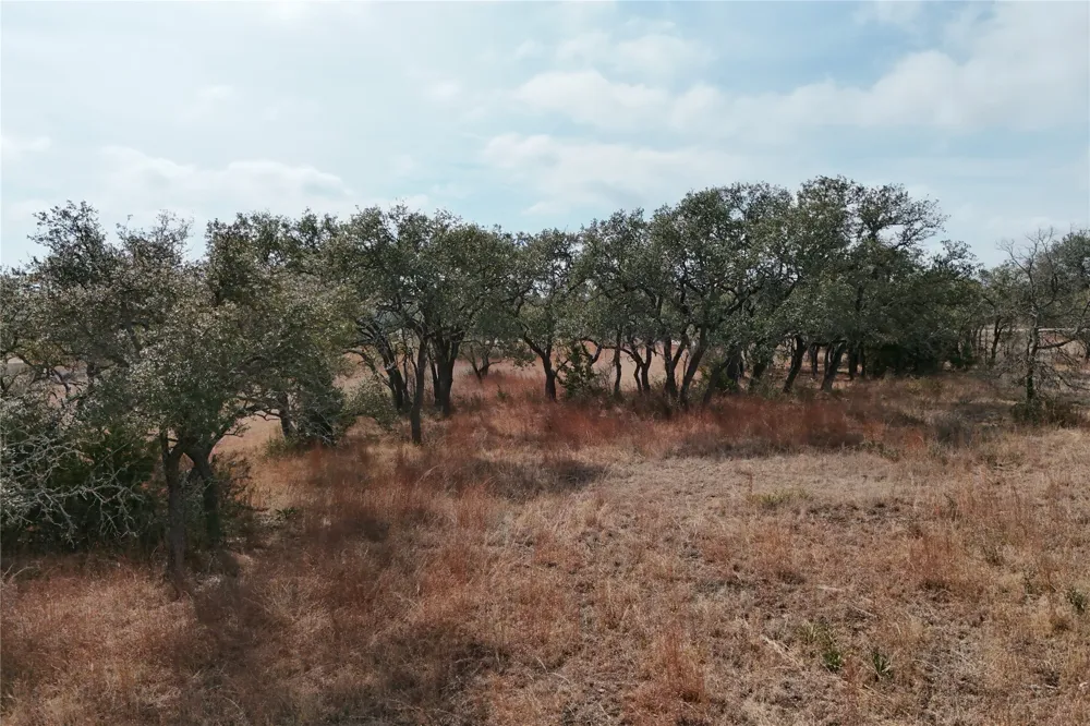 57 Bryce Trail Briggs, TX 78608