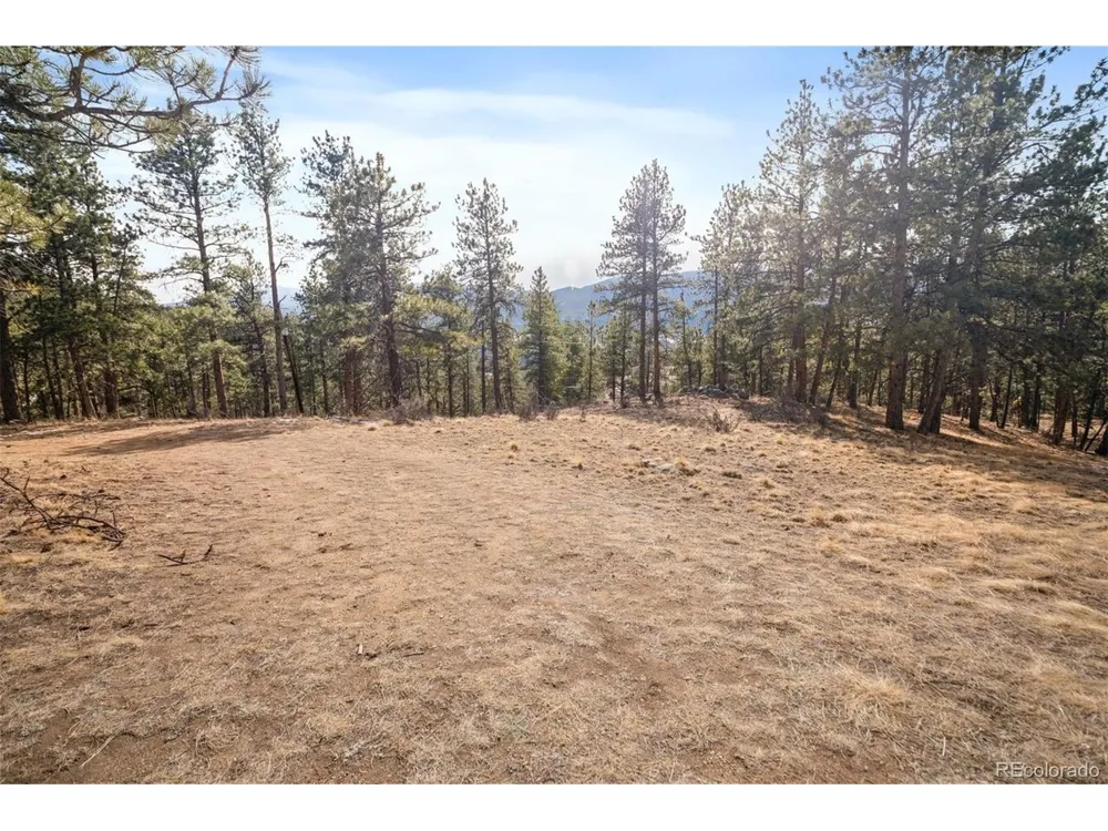 260 Bailey Drive Bailey, CO 80421