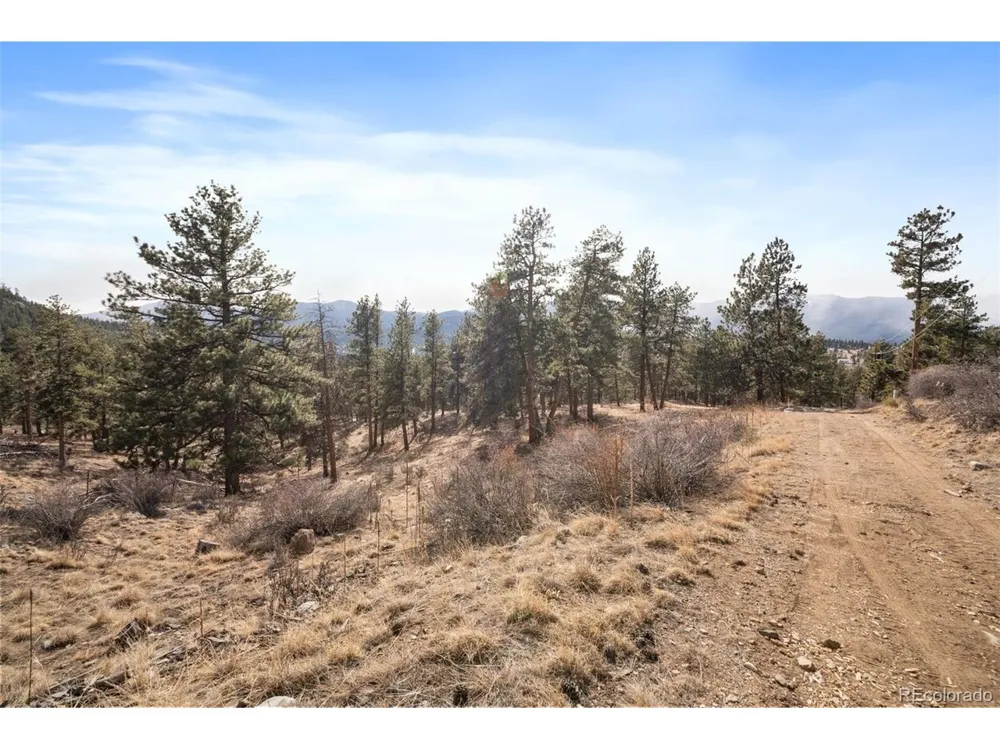 260 Bailey Drive Bailey, CO 80421