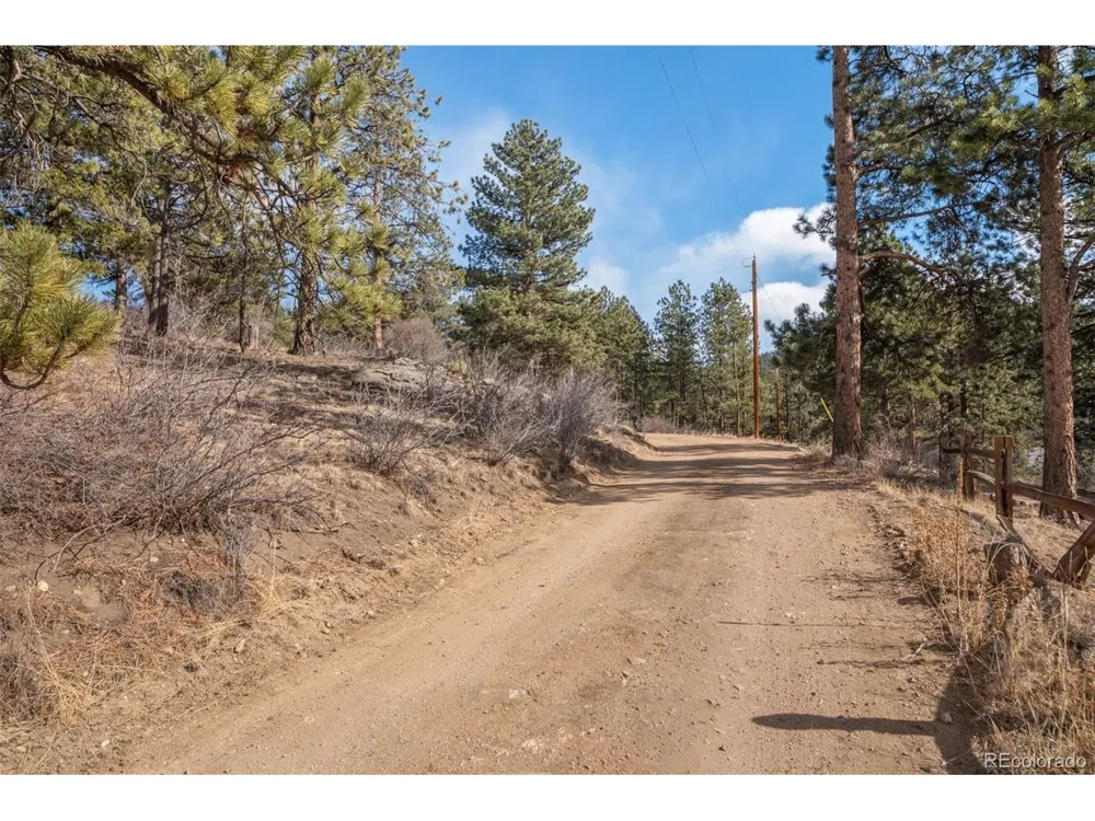 260 Bailey Drive Bailey, CO 80421