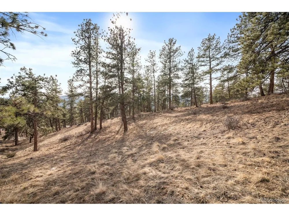 260 Bailey Drive Bailey, CO 80421