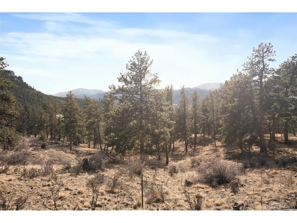 260 Bailey Drive Bailey, CO 80421