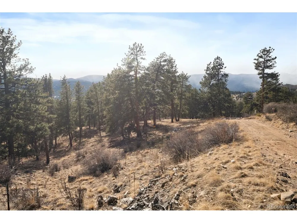 260 Bailey Drive Bailey, CO 80421