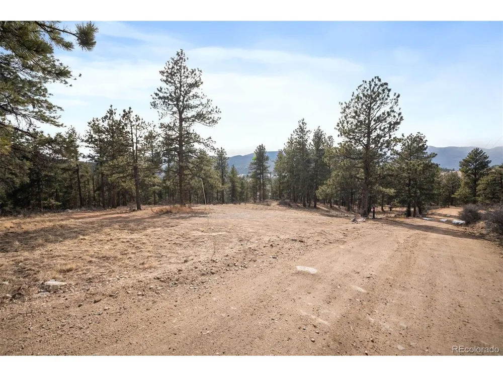 260 Bailey Drive Bailey, CO 80421