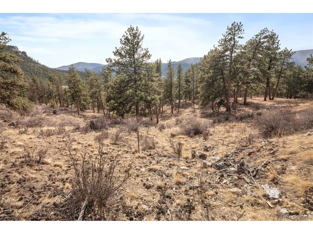 260 Bailey Drive Bailey, CO 80421