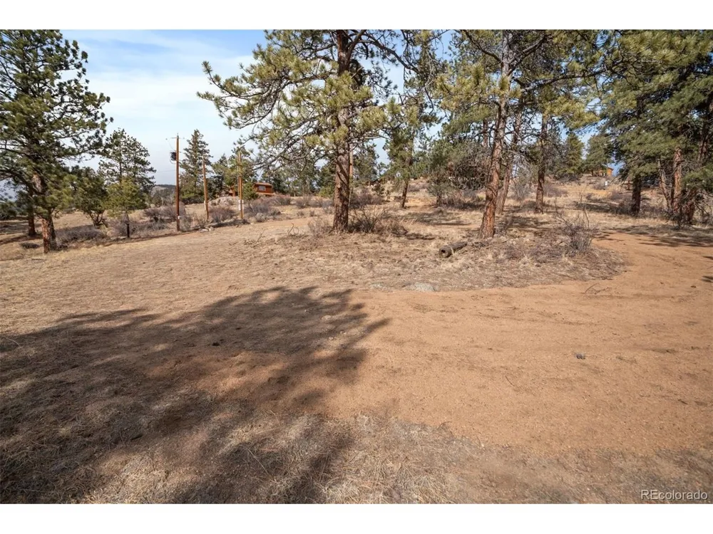 260 Bailey Drive Bailey, CO 80421