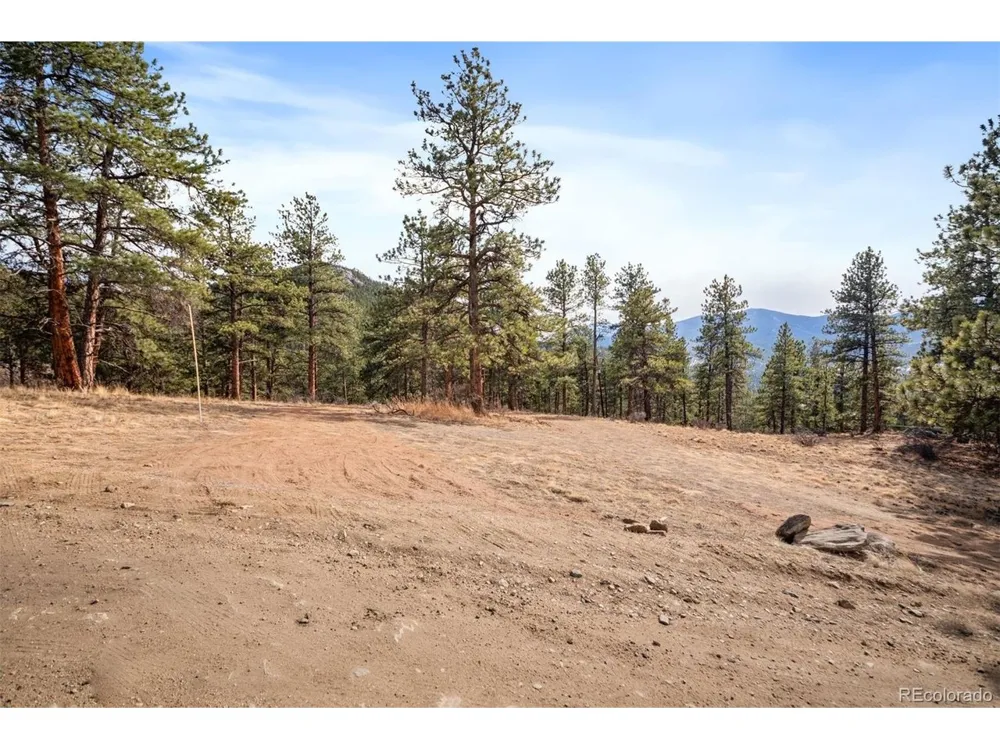 260 Bailey Drive Bailey, CO 80421