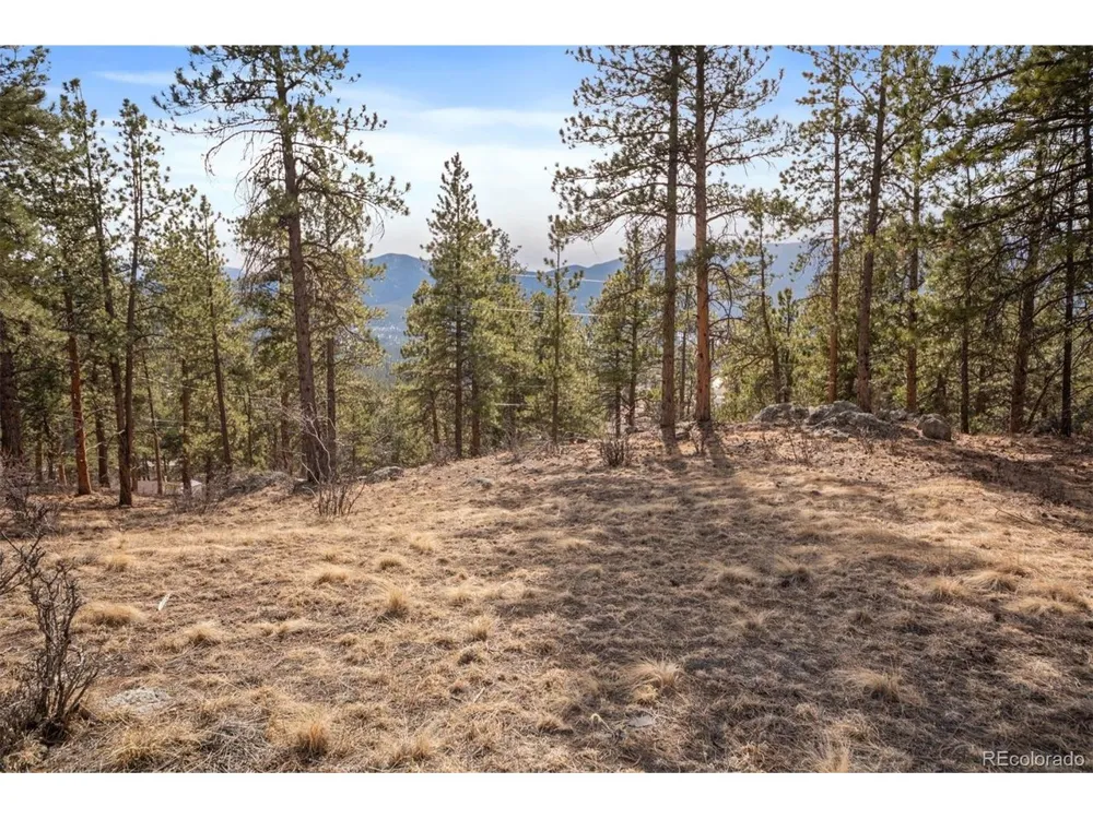 260 Bailey Drive Bailey, CO 80421
