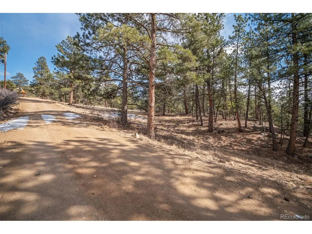 260 Bailey Drive Bailey, CO 80421
