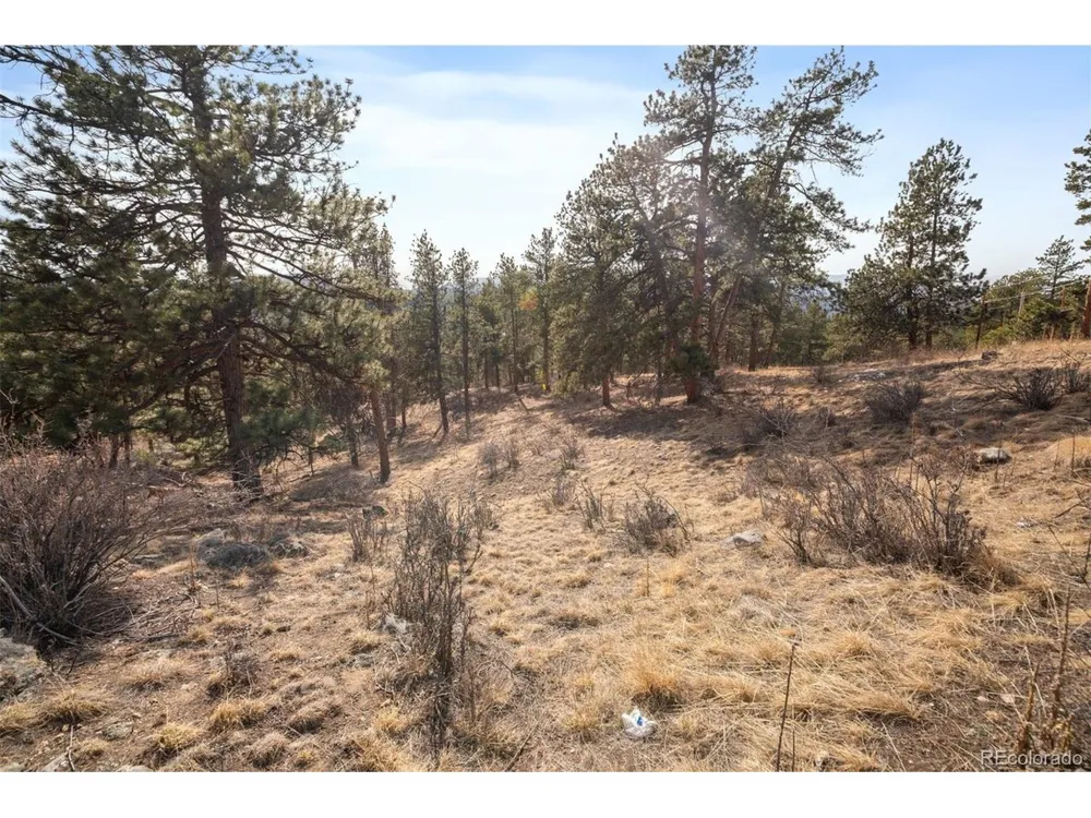 260 Bailey Drive Bailey, CO 80421