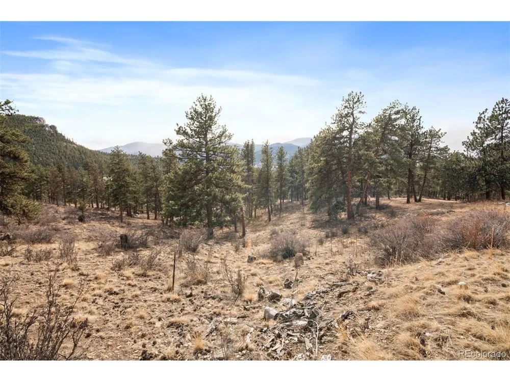 260 Bailey Drive Bailey, CO 80421