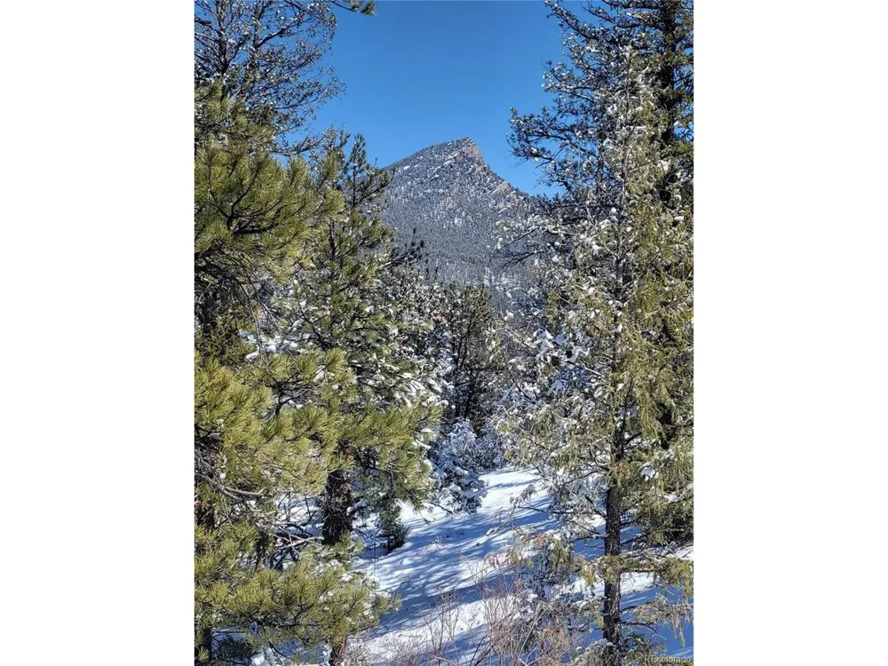 17016 Icehouse Court Pine, CO 80470