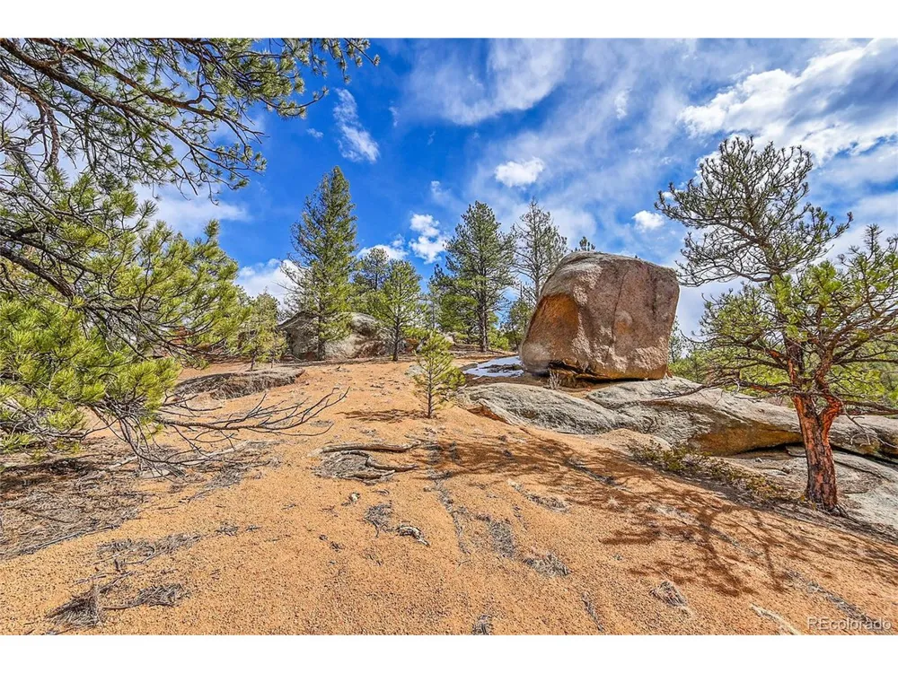 17016 Icehouse Court Pine, CO 80470