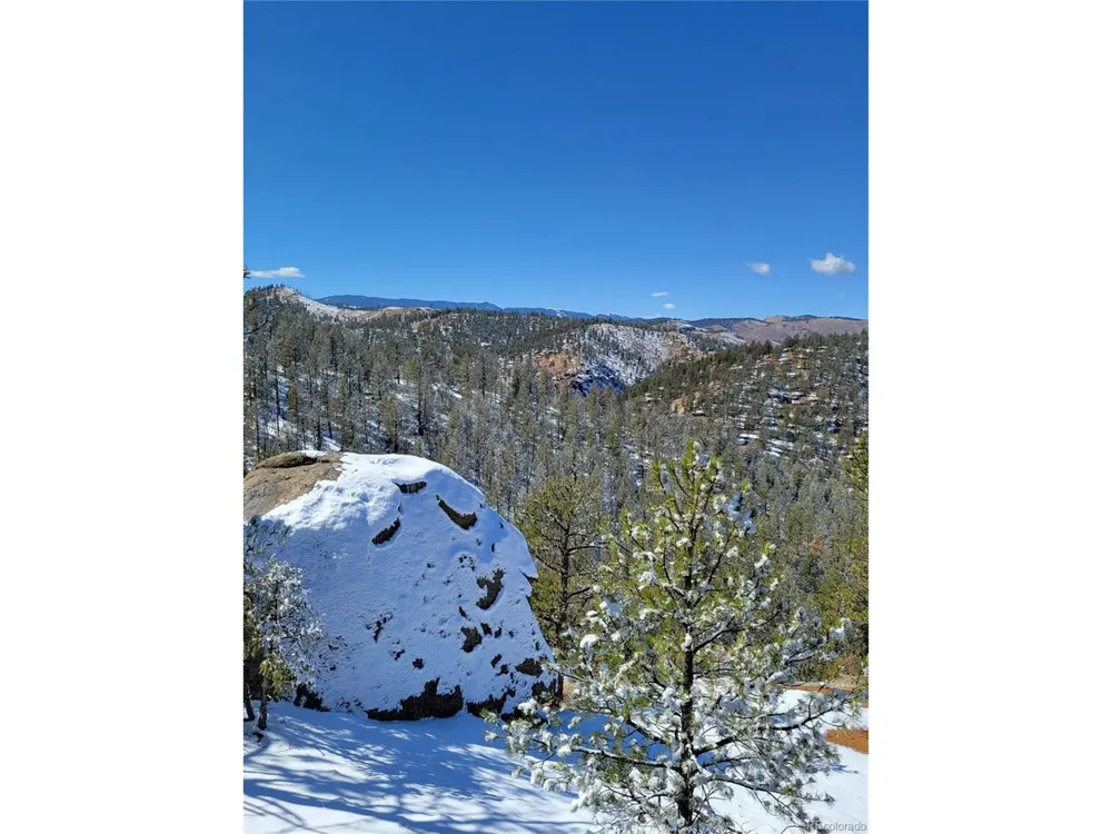17016 Icehouse Court Pine, CO 80470