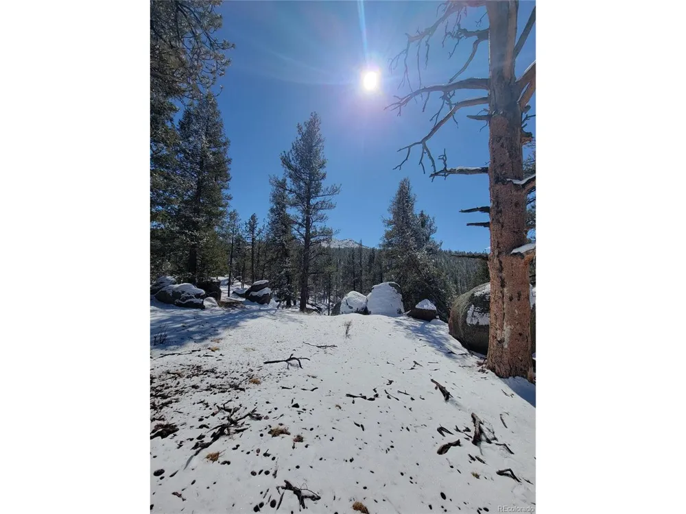 17016 Icehouse Court Pine, CO 80470