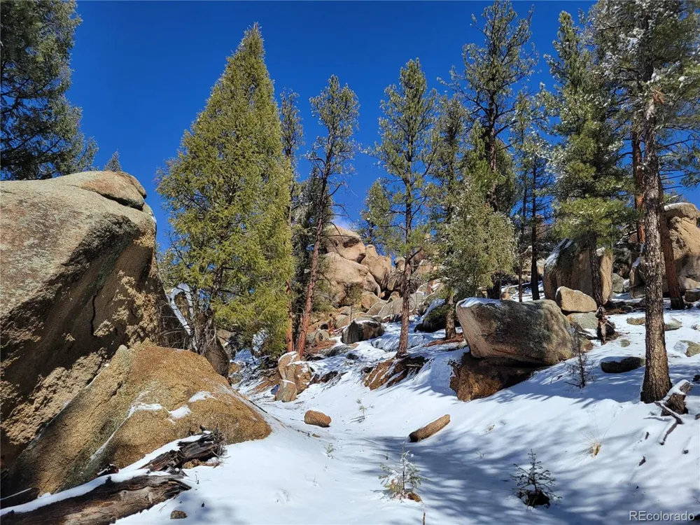 17016 Icehouse Court Pine, CO 80470