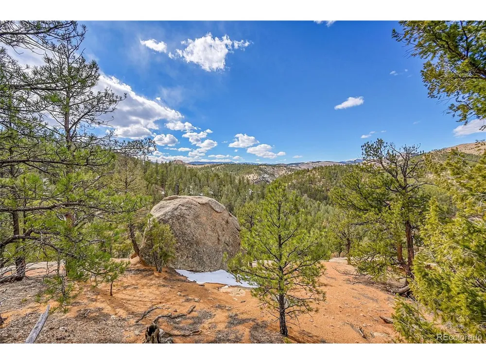 17016 Icehouse Court Pine, CO 80470