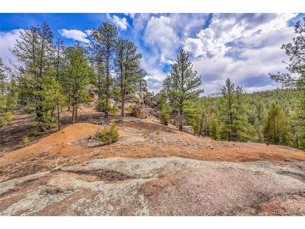 17016 Icehouse Court Pine, CO 80470