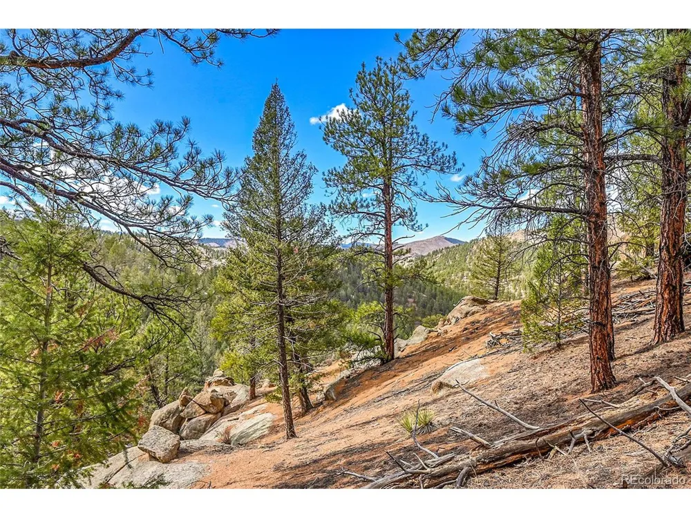 17016 Icehouse Court Pine, CO 80470