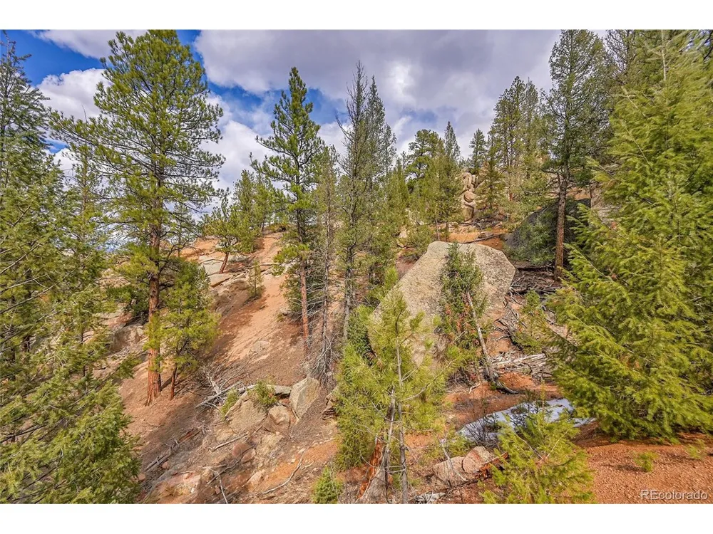 17016 Icehouse Court Pine, CO 80470