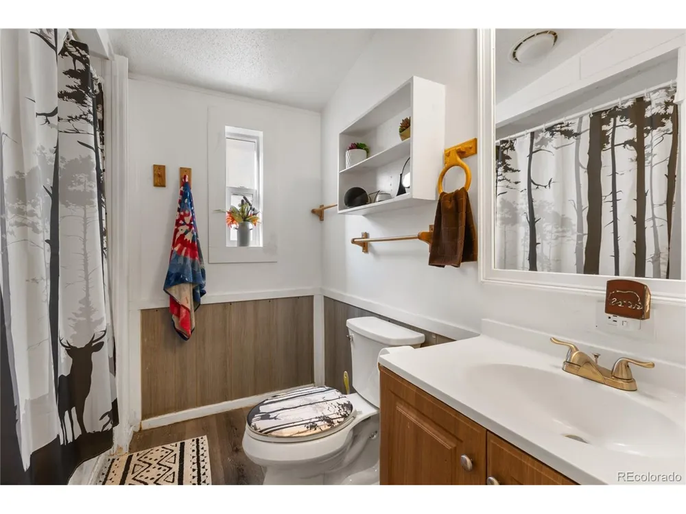 311 W Eaton Avenue Cripple Creek, CO 80813